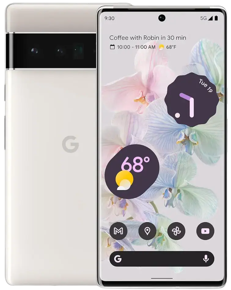 Google Pixel 6 Pro in Cloudy White colour variant