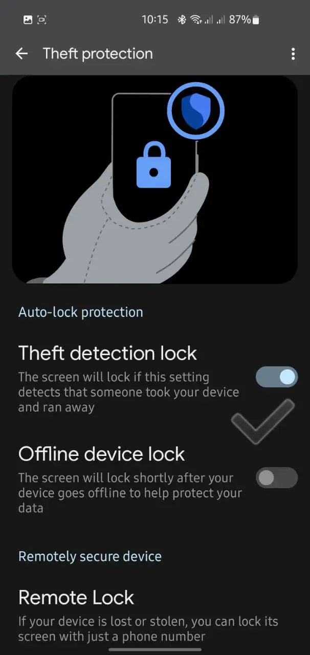 Successfully Activated Theft Detection step 5