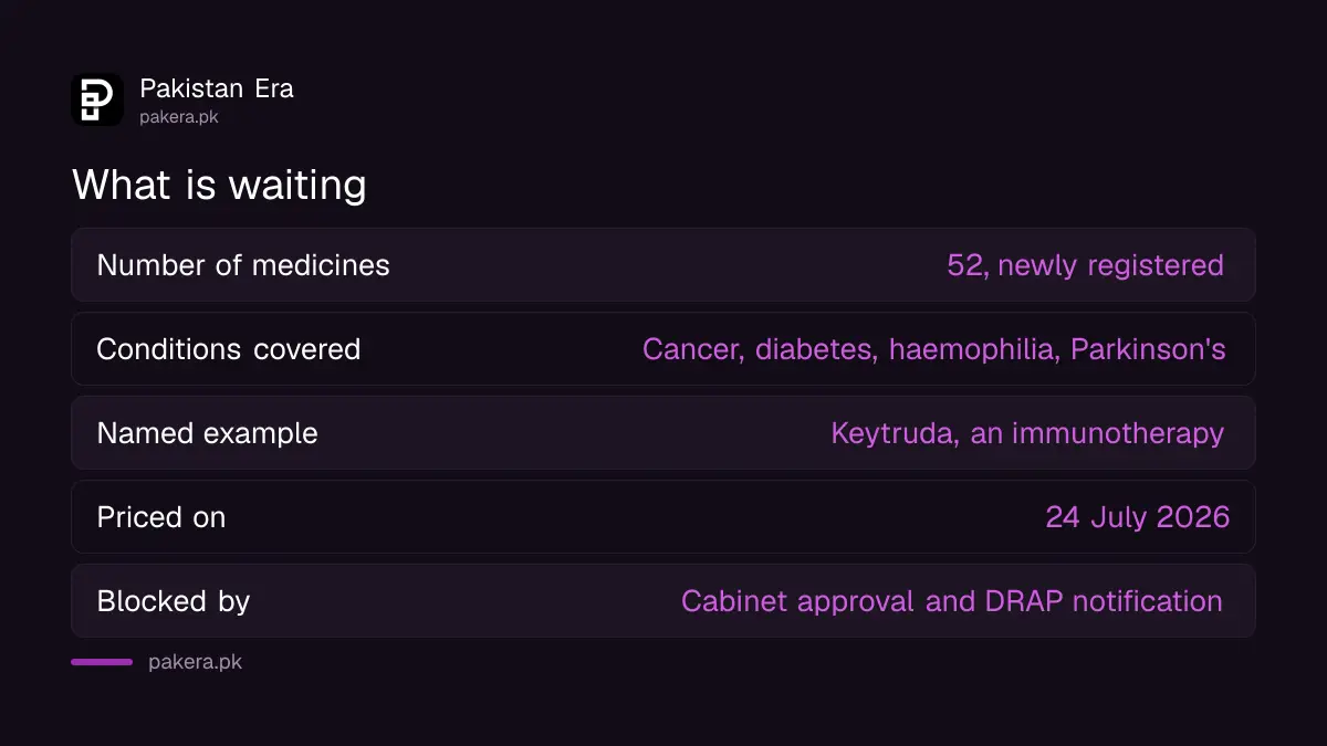 What the 52 medicines cover and what is blocking them