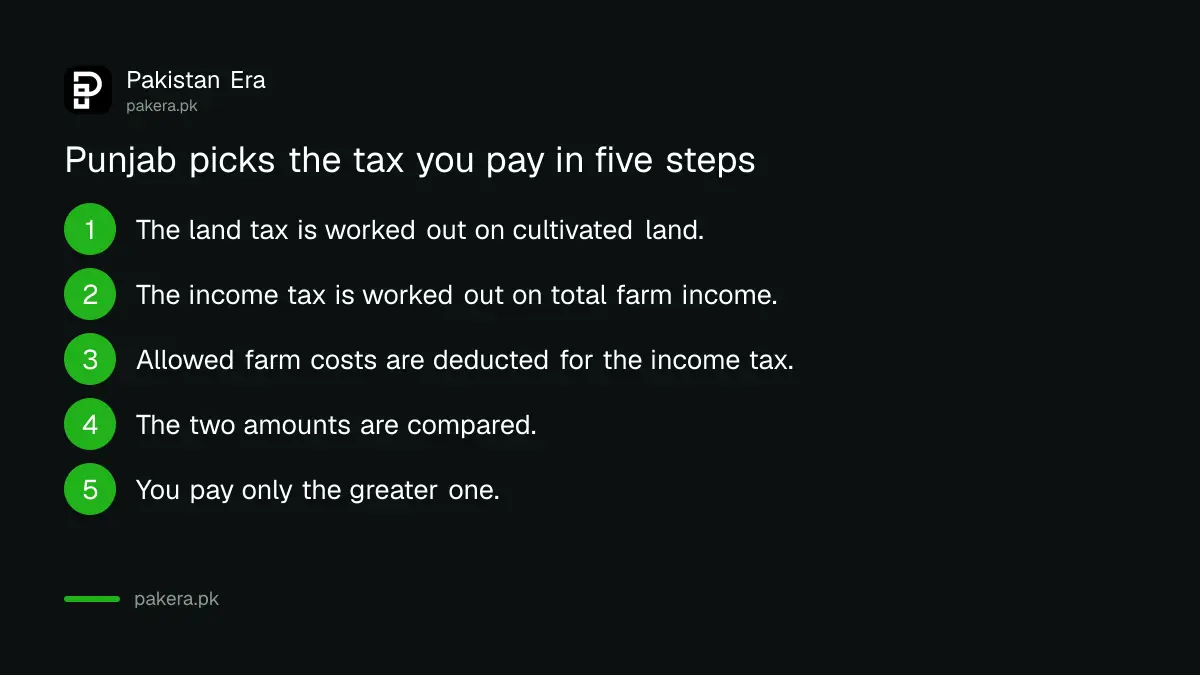 Steps showing how Punjab compares land tax and income tax and charges the greater