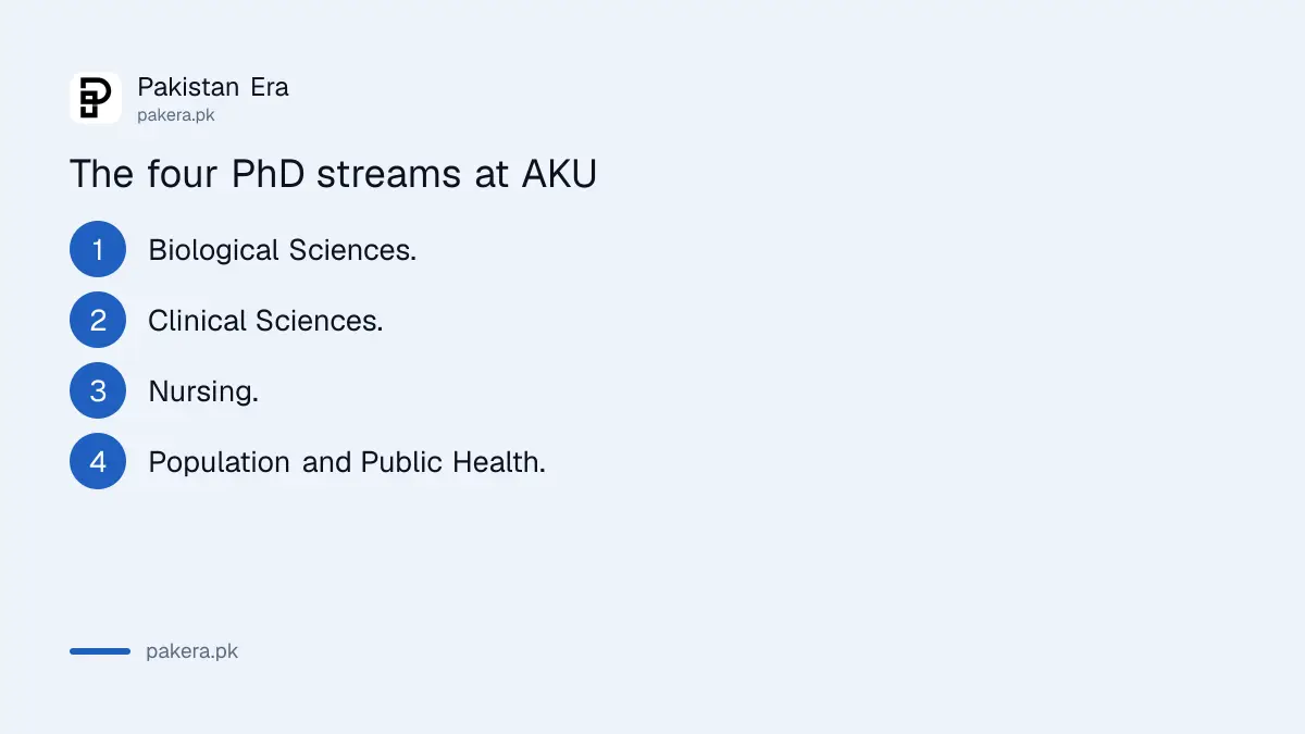 The four research streams of the Aga Khan University PhD in Health Sciences