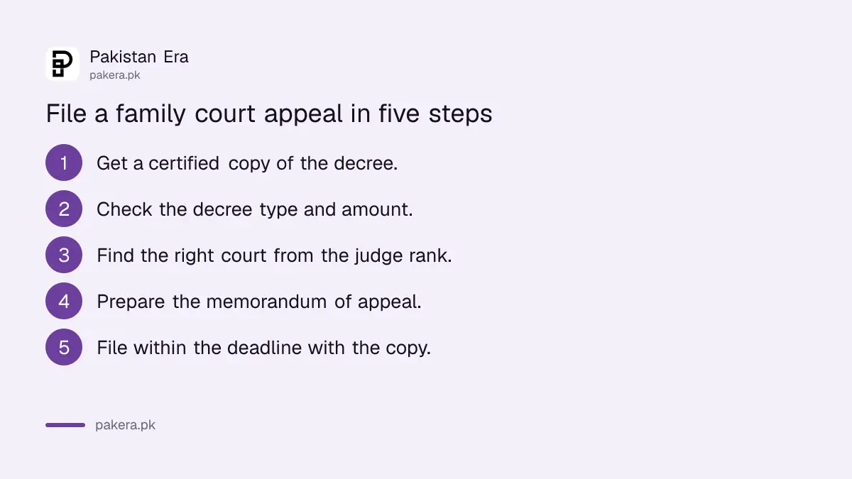 Five steps to file an appeal against a family court decree in Punjab