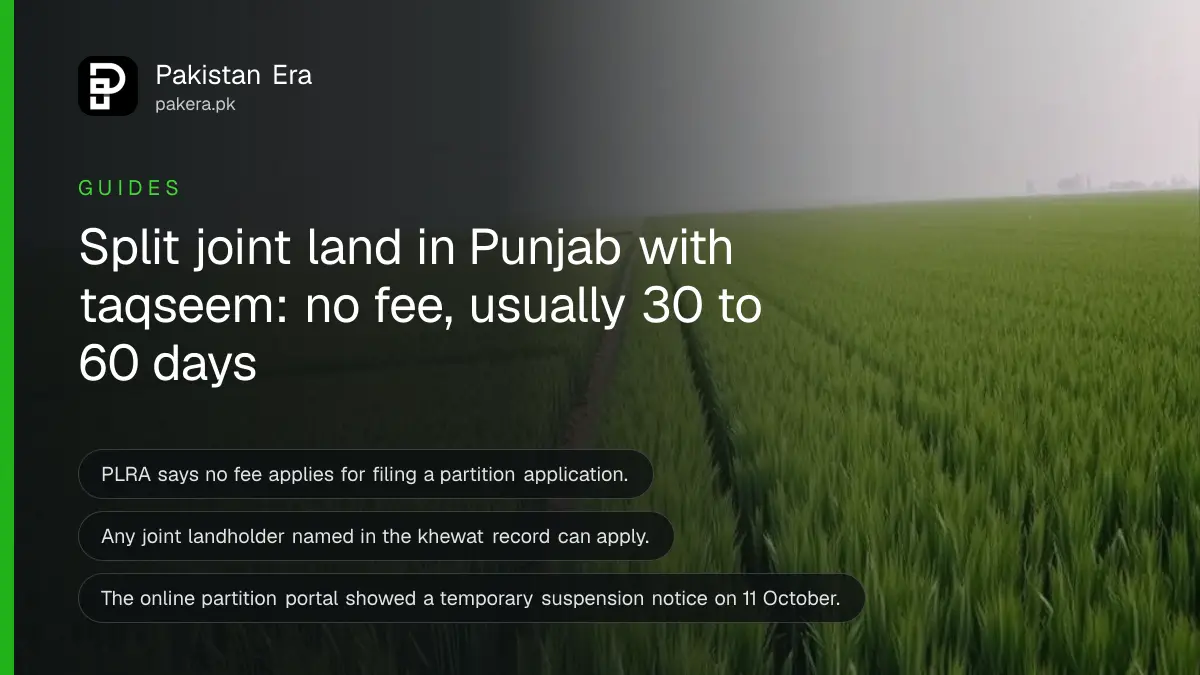 A green wheat field divided by a narrow earthen path, for a guide to land partition in Punjab