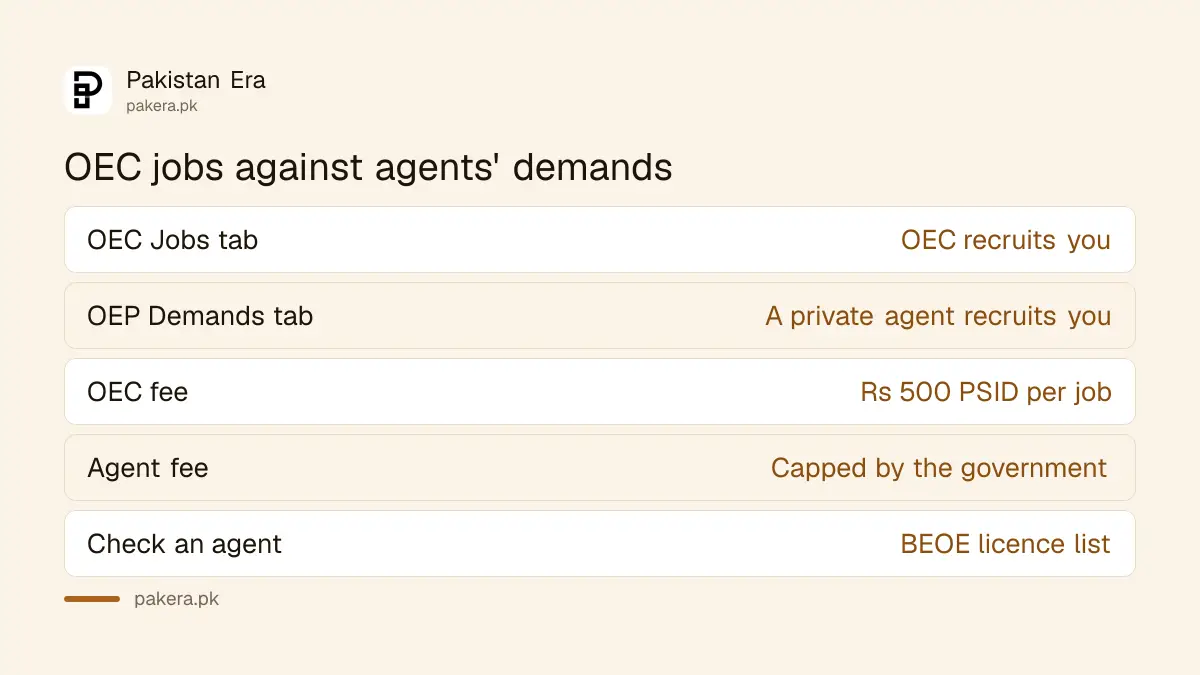 OEC jobs compared with private OEP demands on the OEC portal: who recruits, fee and how to check
