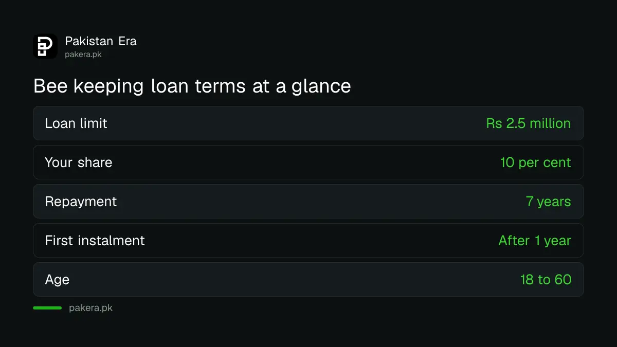 Key terms of the ZTBL bee keeping loan in Pakistan: limit, tenor, your share and age range