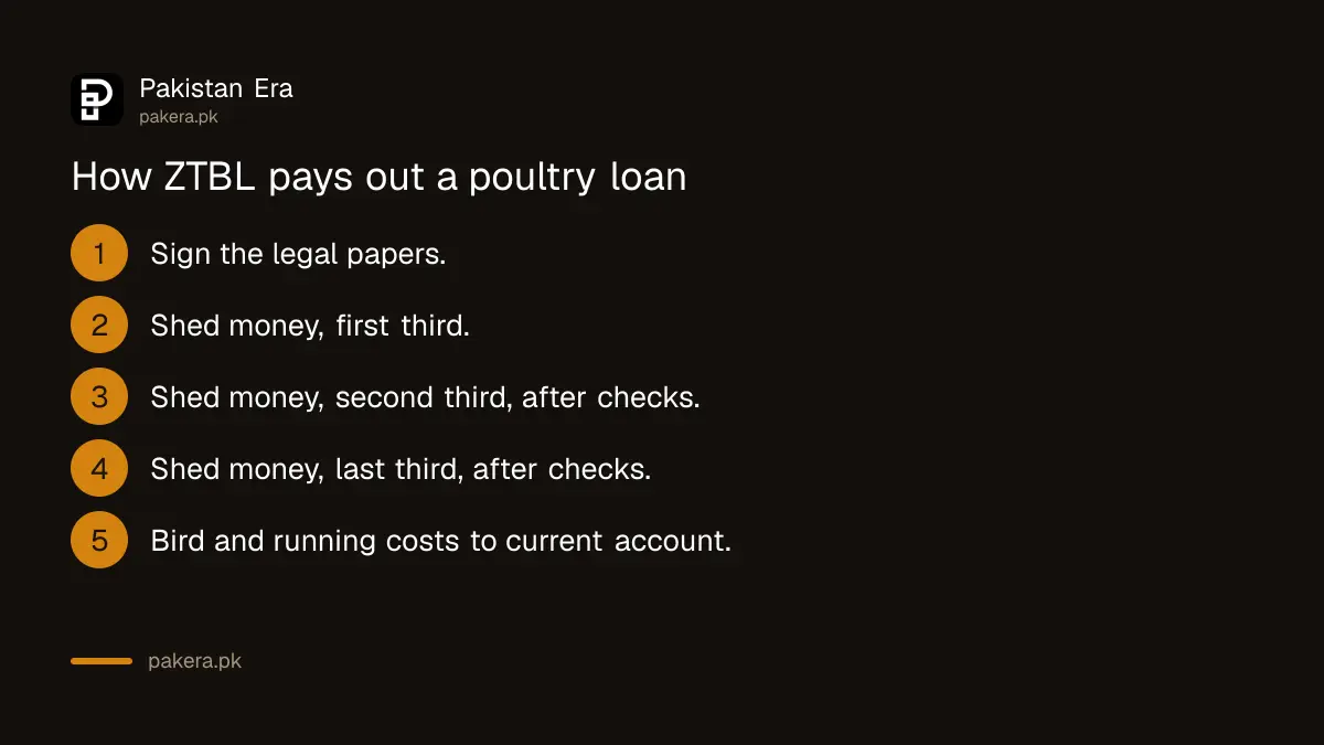 How ZTBL releases a poultry loan in stages: shed first, then birds and costs