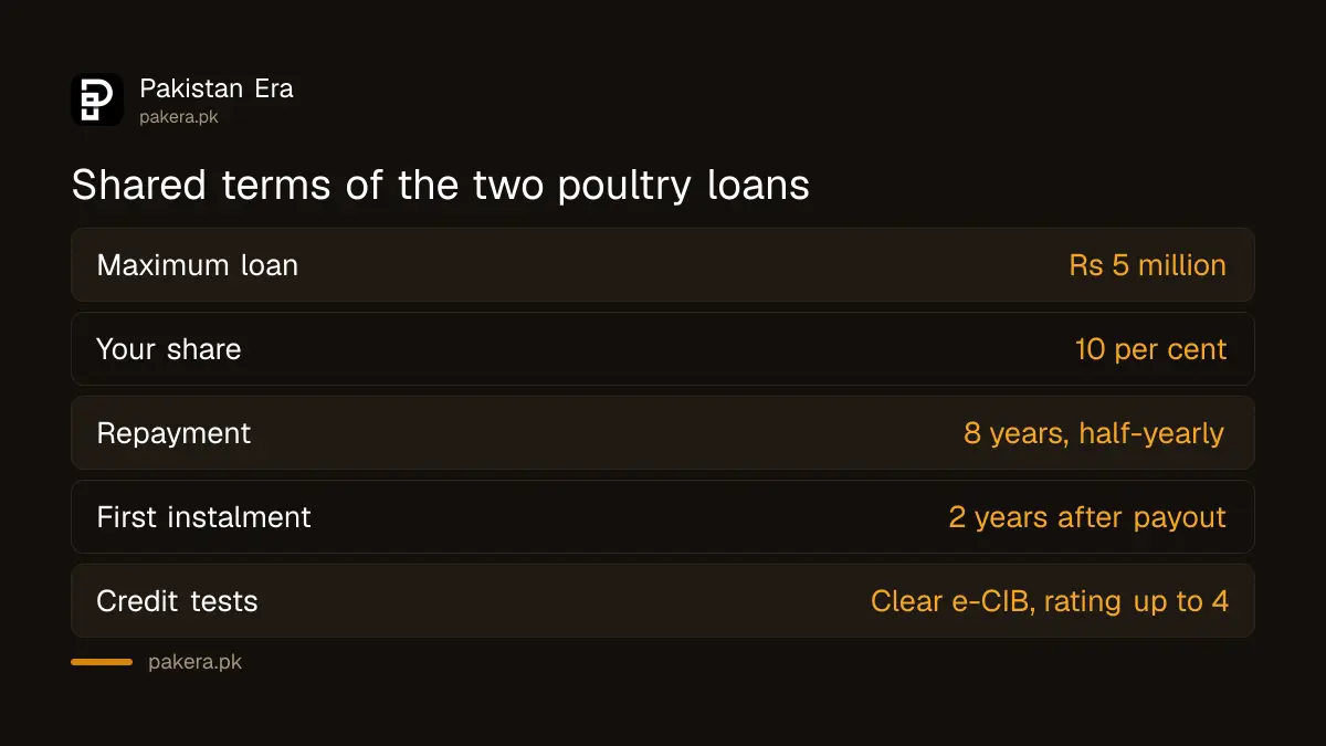 Shared terms of the ZTBL Golden Misri and Black Australorp poultry loans