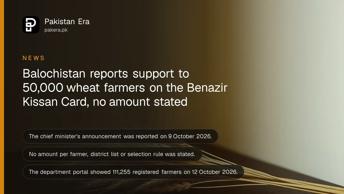 A bundle of wheat ears on a dark wooden table, for a report on Balochistan wheat farmer support