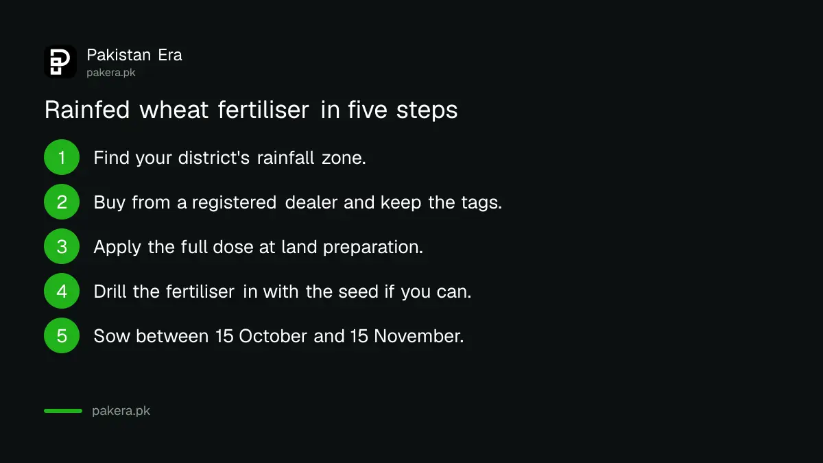 Steps to fertilise rainfed wheat in Punjab from finding your zone to drilling at sowing