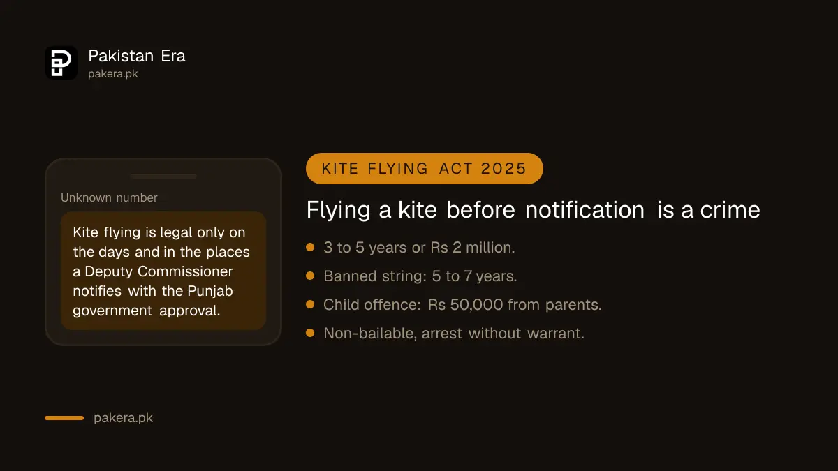 Punjab Kite Flying Act penalties: up to 5 years or Rs 2 million for flying outside notified days