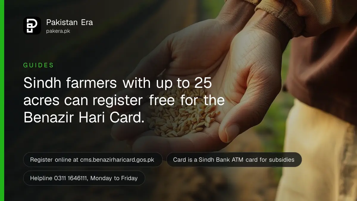 A farmer's hands holding wheat seed over a freshly ploughed field in Sindh