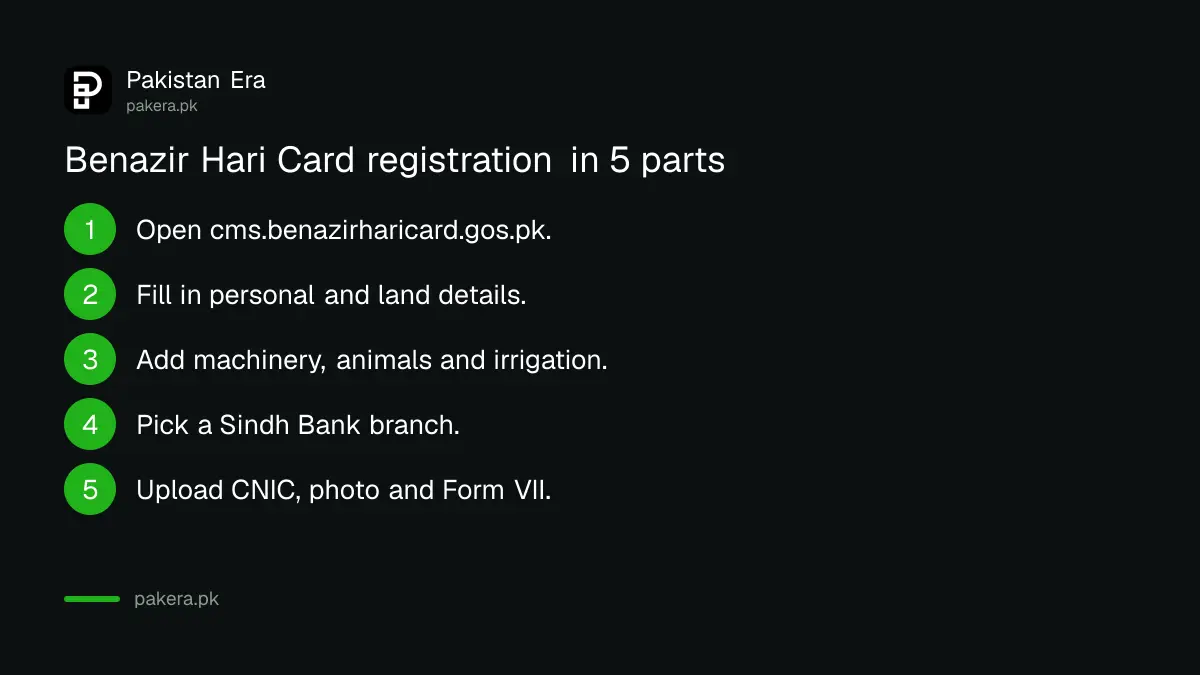Five steps to register for the Benazir Hari Card online in Sindh