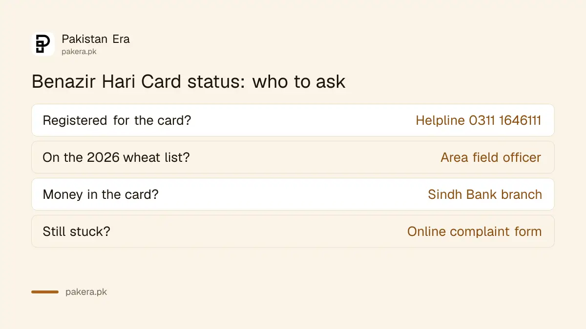 Three ways to check Benazir Hari Card status in Sindh: helpline, field officer and complaint form