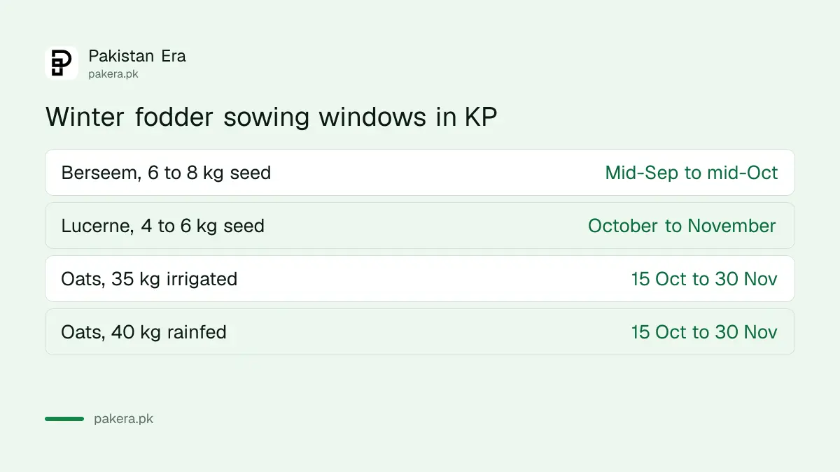 Winter fodder sowing windows in Khyber Pakhtunkhwa for berseem, oats and lucerne