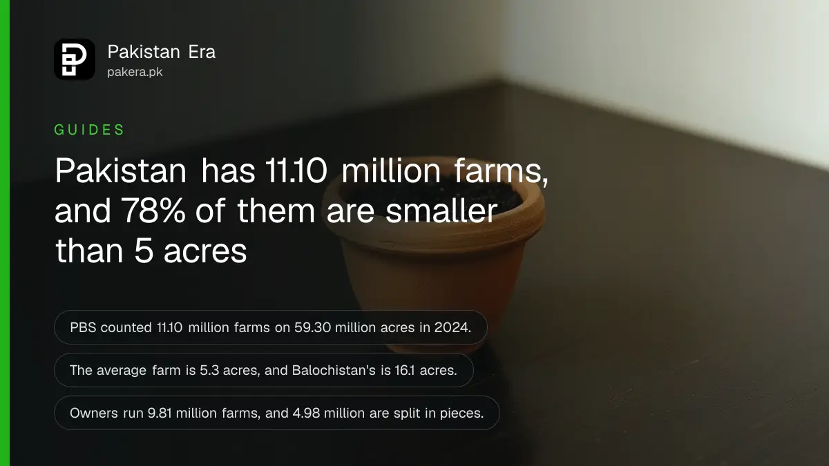 A small terracotta pot of dark soil on a wooden table, for a guide on farm size in Pakistan