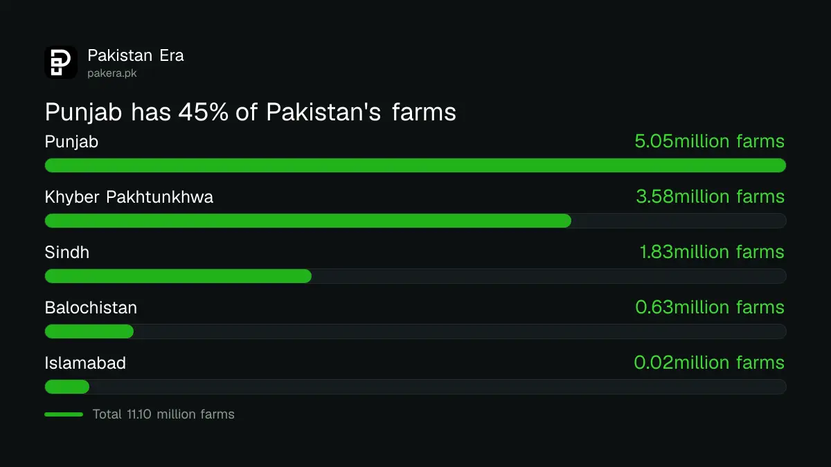 Number of farms in Pakistan by province from the Agricultural Census 2024