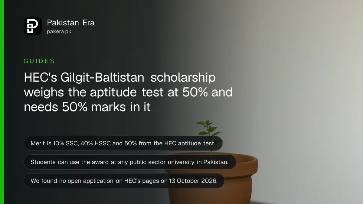 A small seedling in a terracotta pot on a dark wooden table, for a guide to the HEC undergraduate scholarship for Gilgit-Baltistan