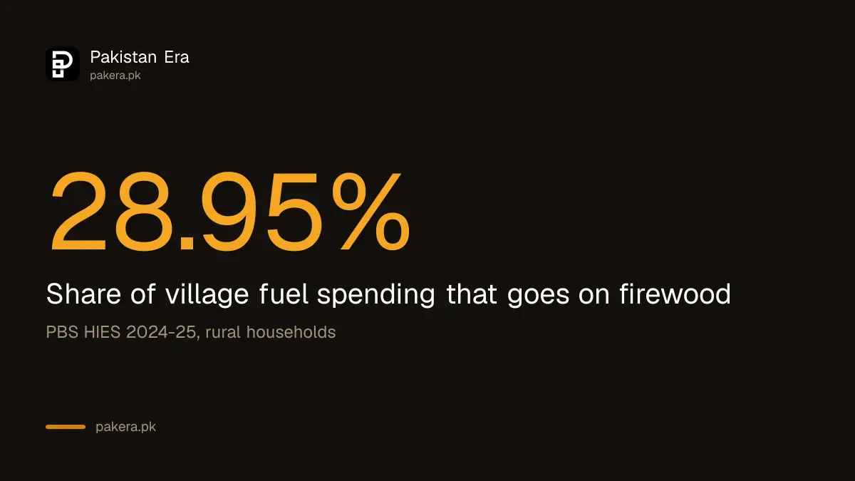 Firewood share of village fuel spending in Pakistan