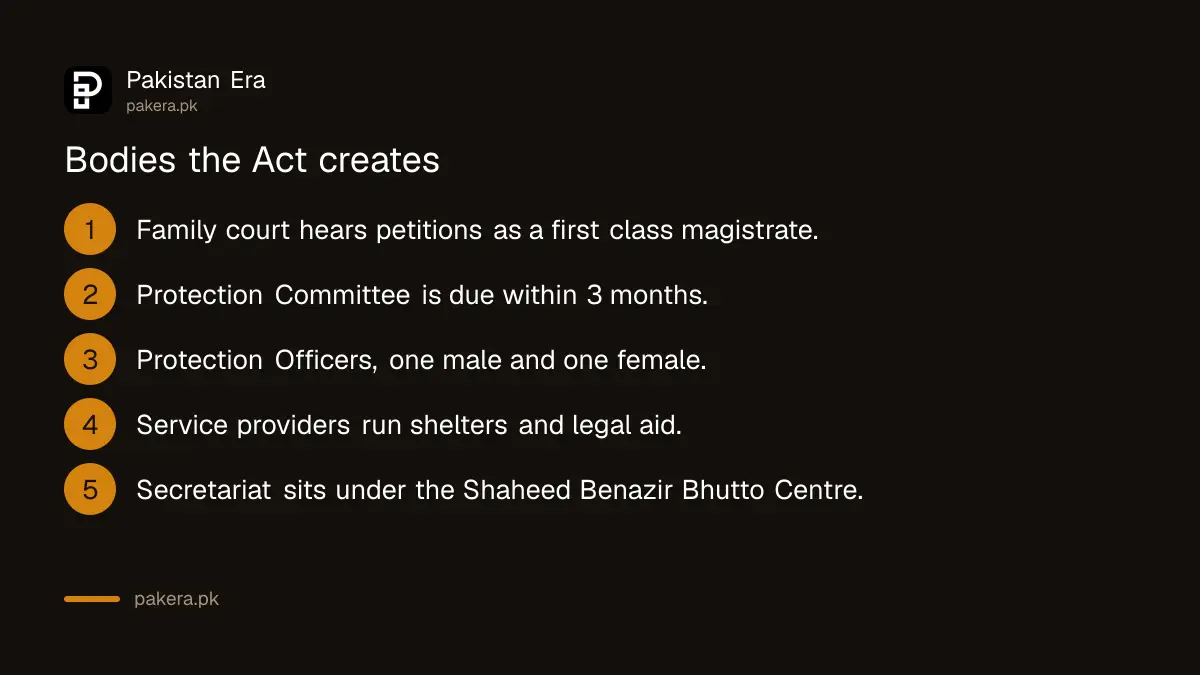 Bodies set up by the Islamabad Domestic Violence Act 2026