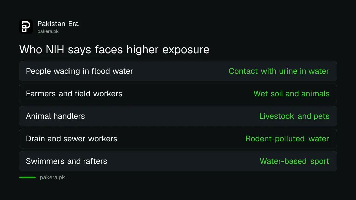 Who is at higher risk of leptospirosis in Pakistan according to NIH