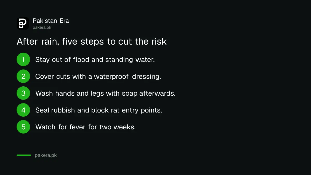 Five steps to lower the risk of leptospirosis after rain in Pakistan