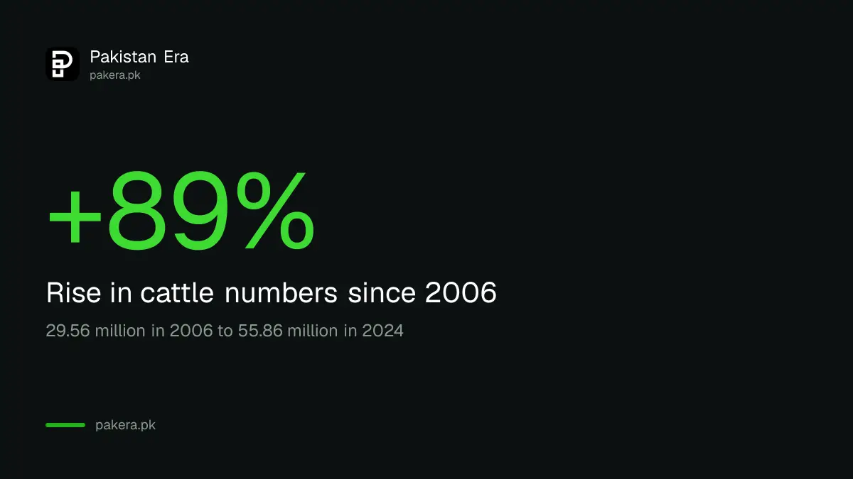 Cattle numbers rose 89 percent between 2006 and 2024 in Pakistan
