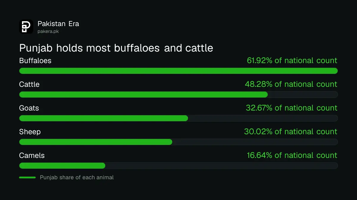 Punjab's share of Pakistan's cattle, buffaloes and goats