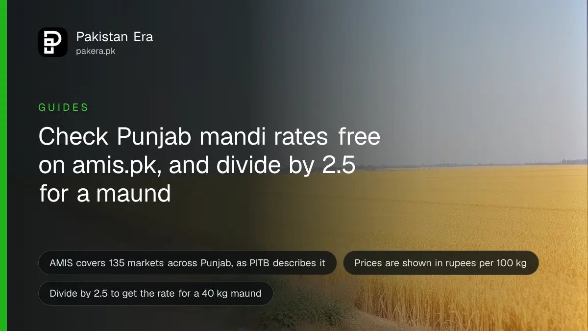 A wide golden wheat field in Punjab under a clear morning sky with a dirt track at the edge
