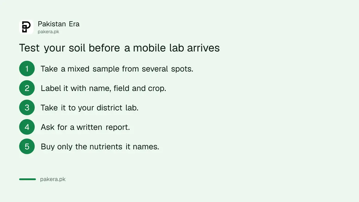 Five steps to get a soil sample tested in Punjab before a mobile lab arrives