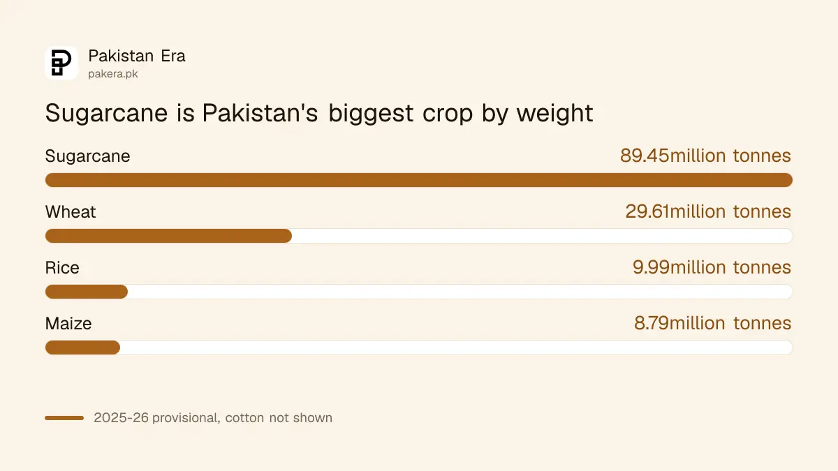 Pakistan's 2025-26 output of wheat, sugarcane, rice, maize and cotton