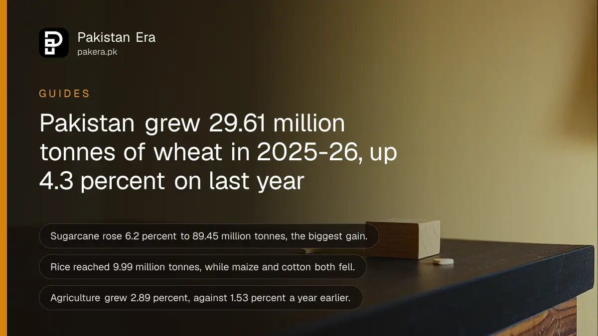 A small wooden block on a dark wooden table, for a guide on Pakistan's wheat and crop output