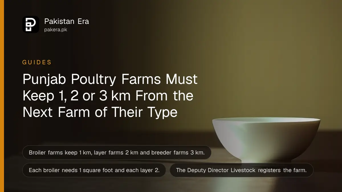 A white porcelain bowl on a dark wooden table against a plain cream wall in soft daylight