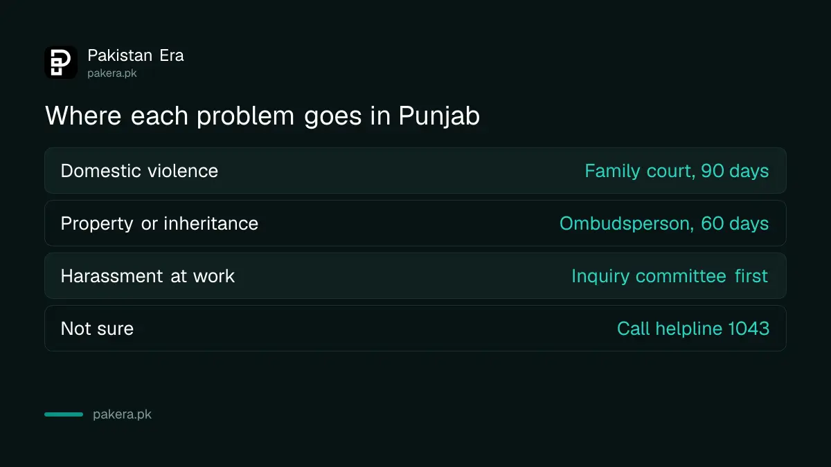 Where a woman files a complaint in Punjab for violence, property and harassment