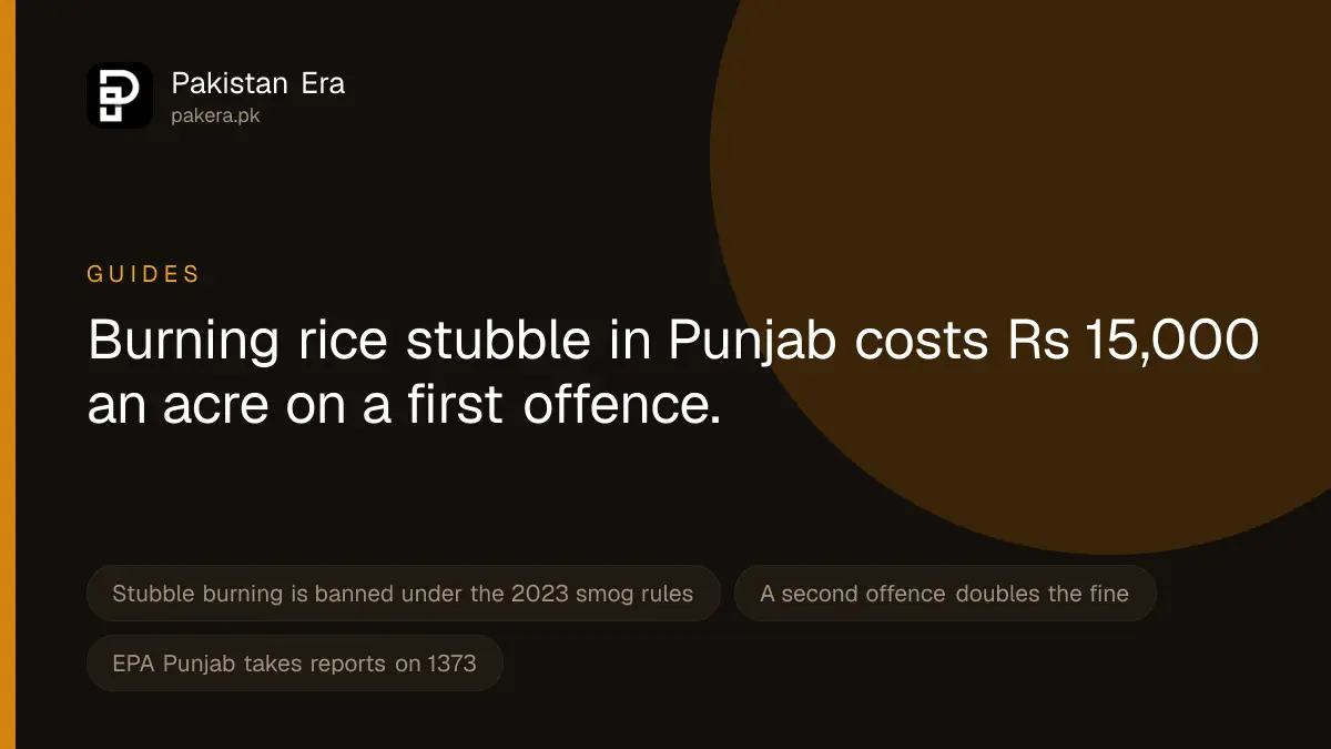 Crop Burning in Punjab: The Fine, the Rules and How to Report It