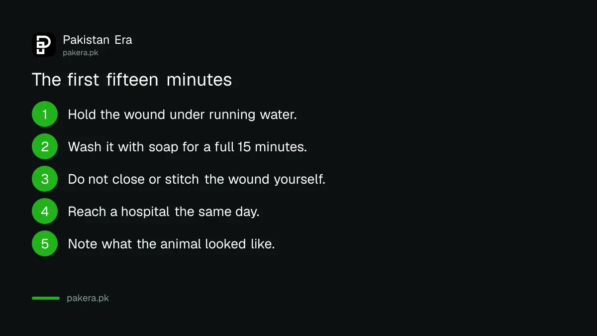 What to do in the first minutes after a dog bite in Pakistan