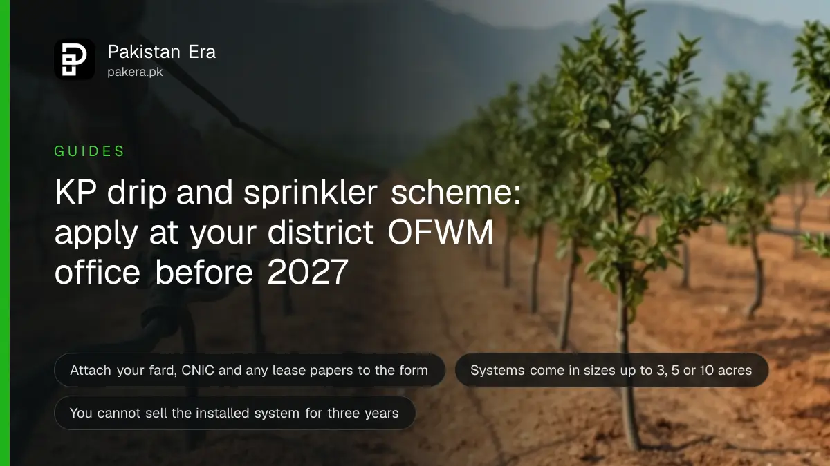 Black drip irrigation pipes running along rows of young fruit trees in a Khyber Pakhtunkhwa orchard