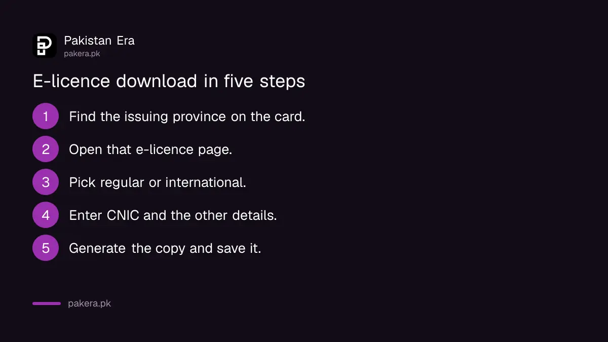 Steps to download a driving e-licence from a Pakistani traffic police portal