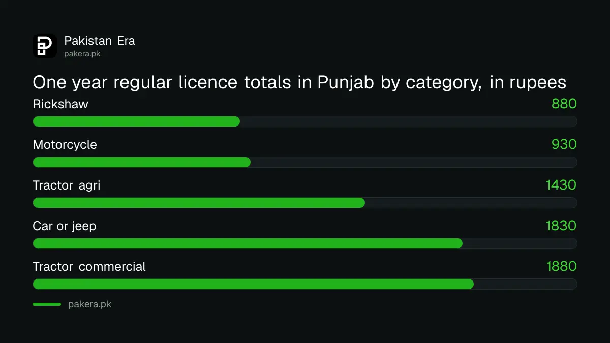 One year Punjab driving licence totals by category in rupees