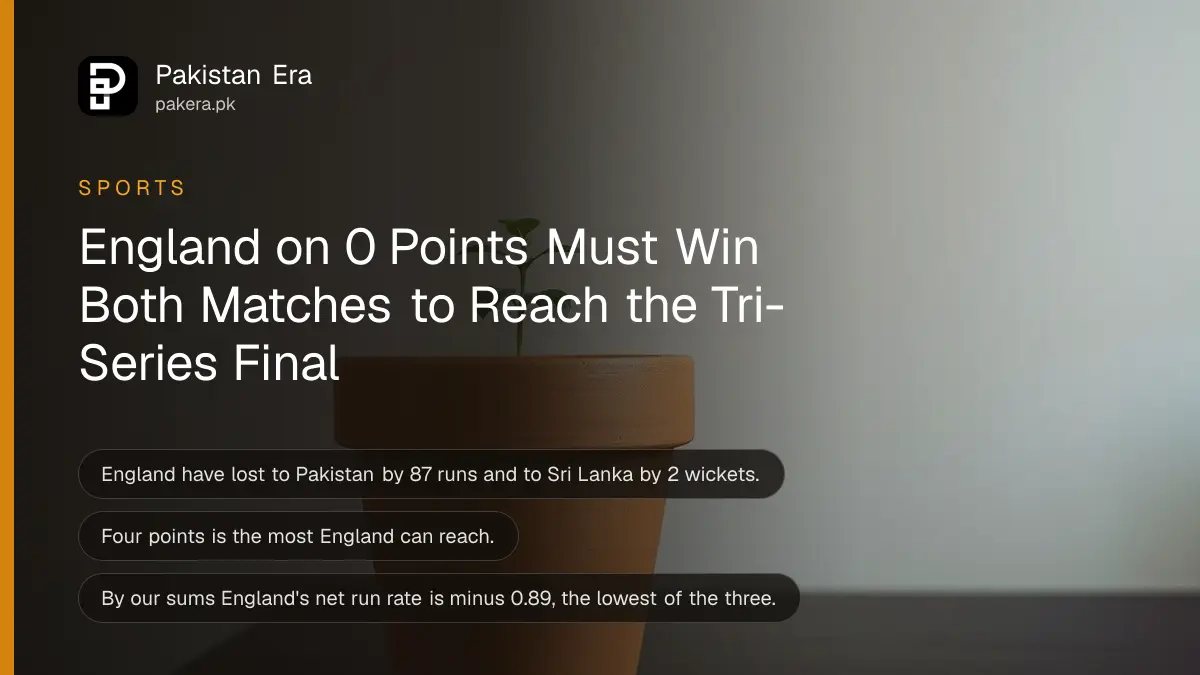 A terracotta pot with a seedling on a dark wooden table, for England's chances in the Pakistan tri-series