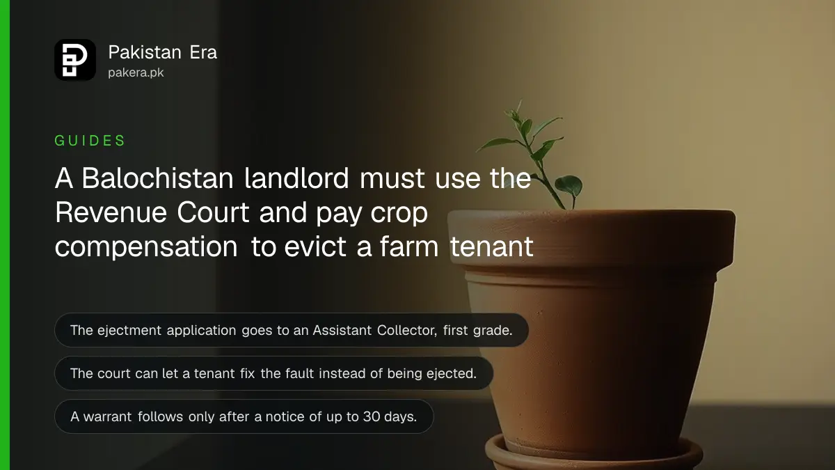 A terracotta pot with a small green seedling on a dark wooden table against a plain cream wall, for a guide to farm tenancy in Balochistan
