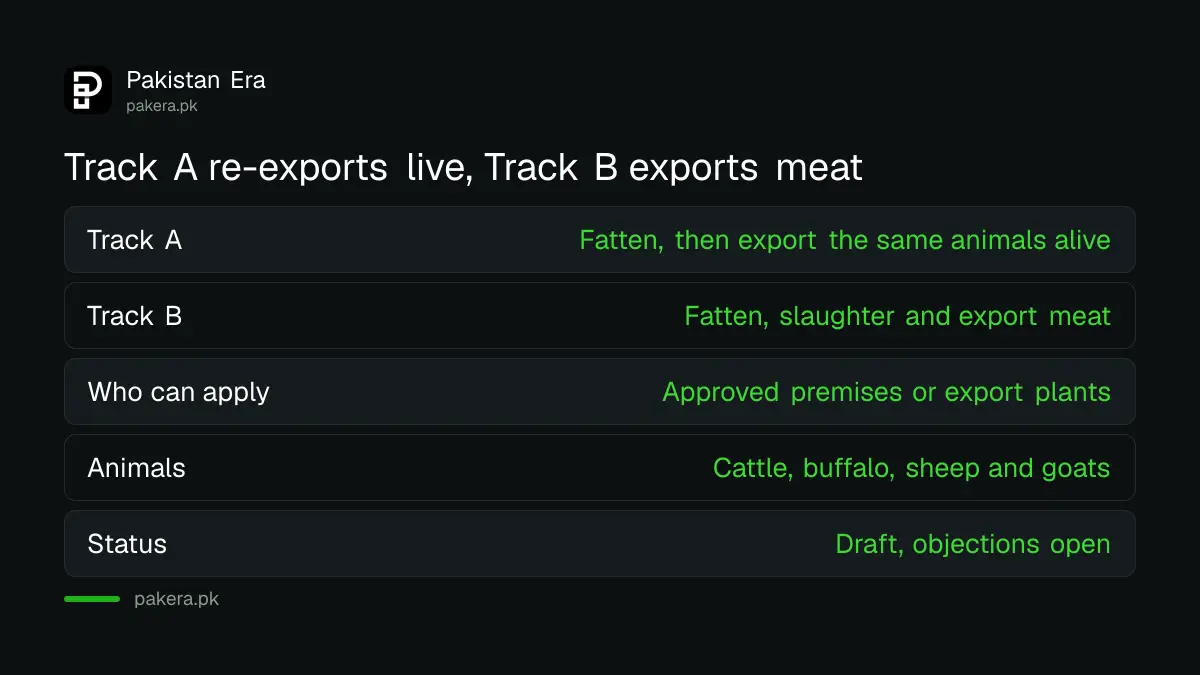 Comparison of Track A live re-export and Track B meat export in the FBR draft for imported live animals