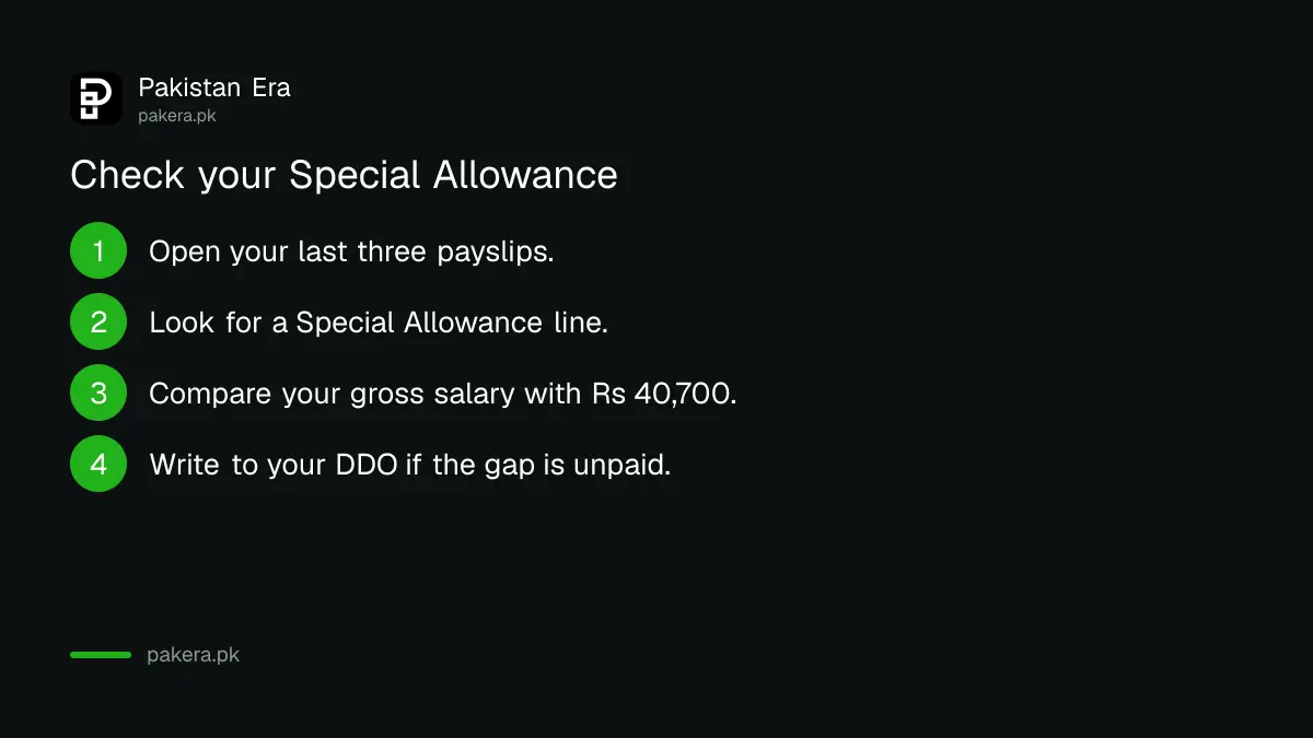 Four steps to check the Special Allowance on a federal government payslip
