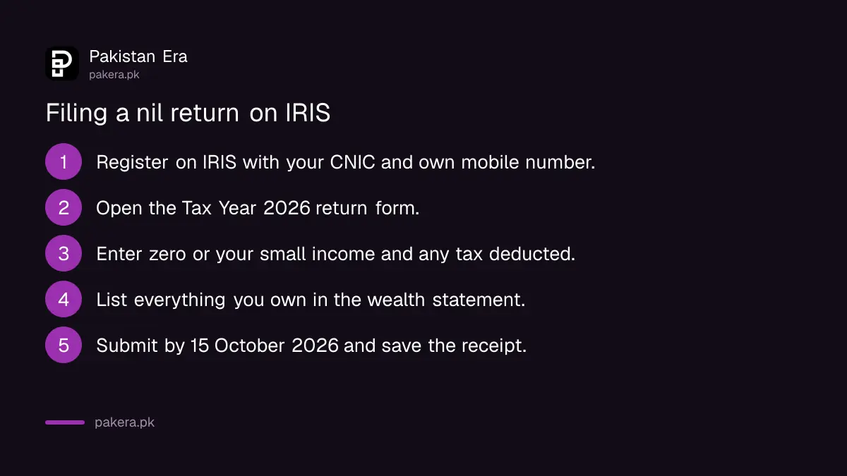Seven steps to file a nil income tax return on FBR IRIS in Pakistan