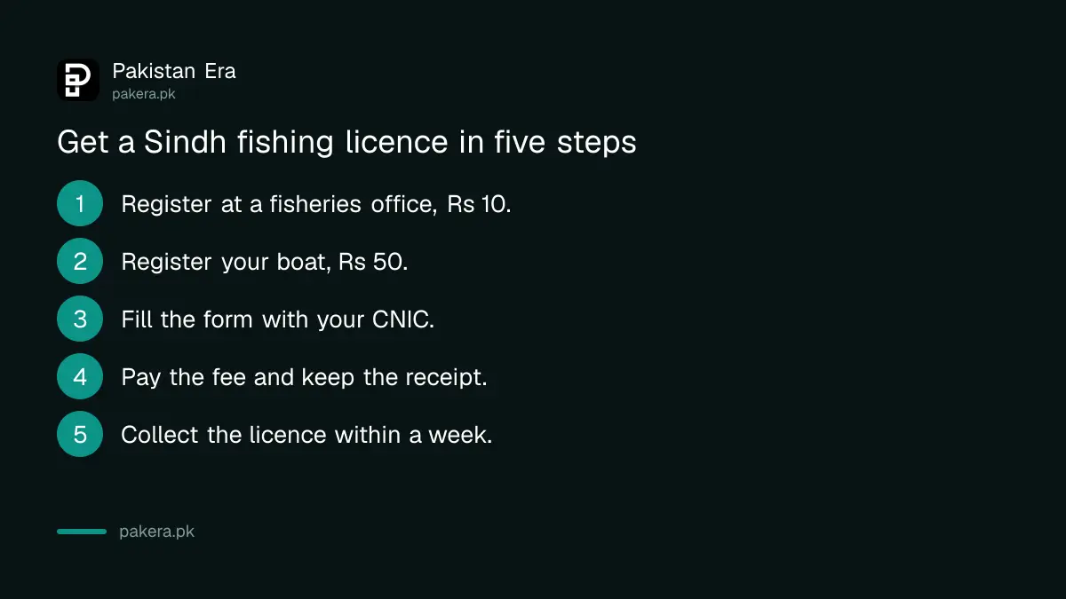 Five steps to get a fishing licence from the Sindh Fisheries Department