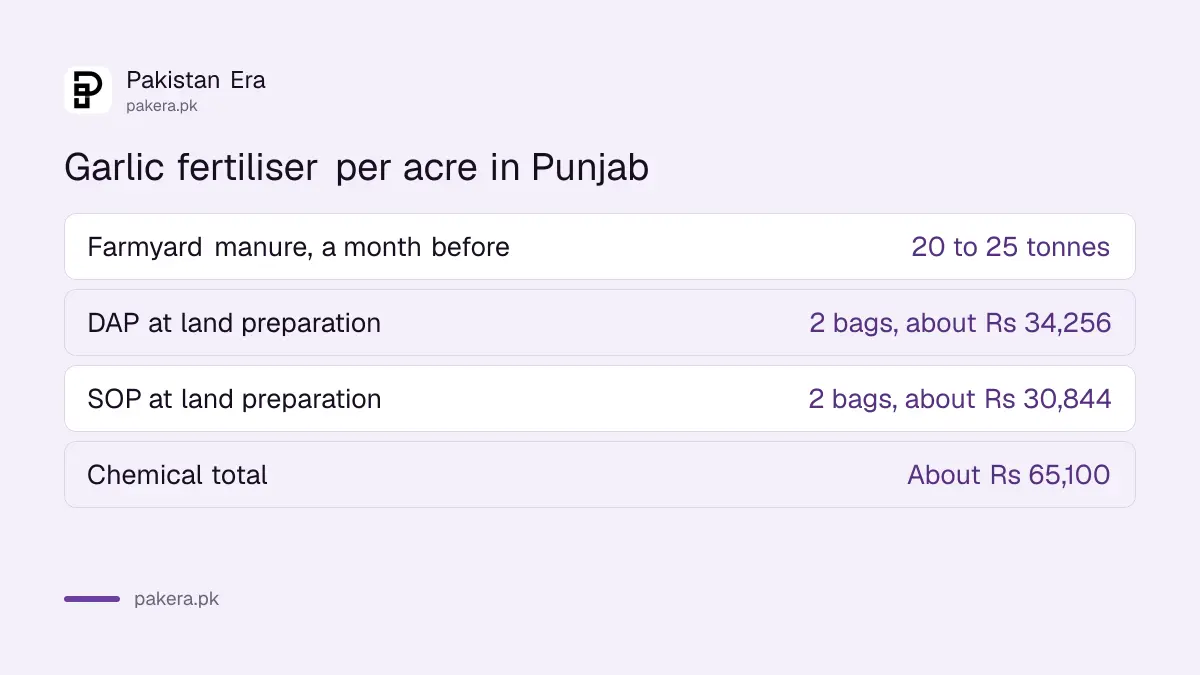 Garlic fertiliser per acre in Punjab: farmyard manure, two bags of DAP and two bags of SOP, about Rs 65,100