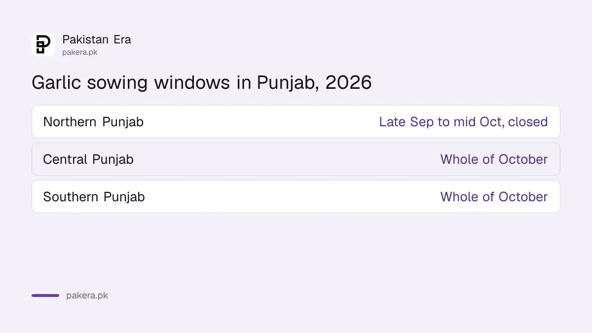 Garlic sowing windows in Punjab: late September to mid October in the north, all of October in central and southern Punjab