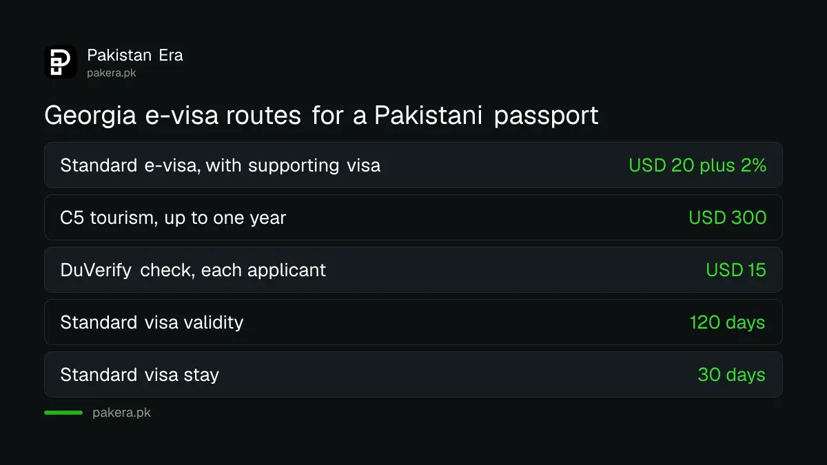 Georgia e-visa routes for Pakistanis: USD 20 with a supporting visa or USD 300 C5