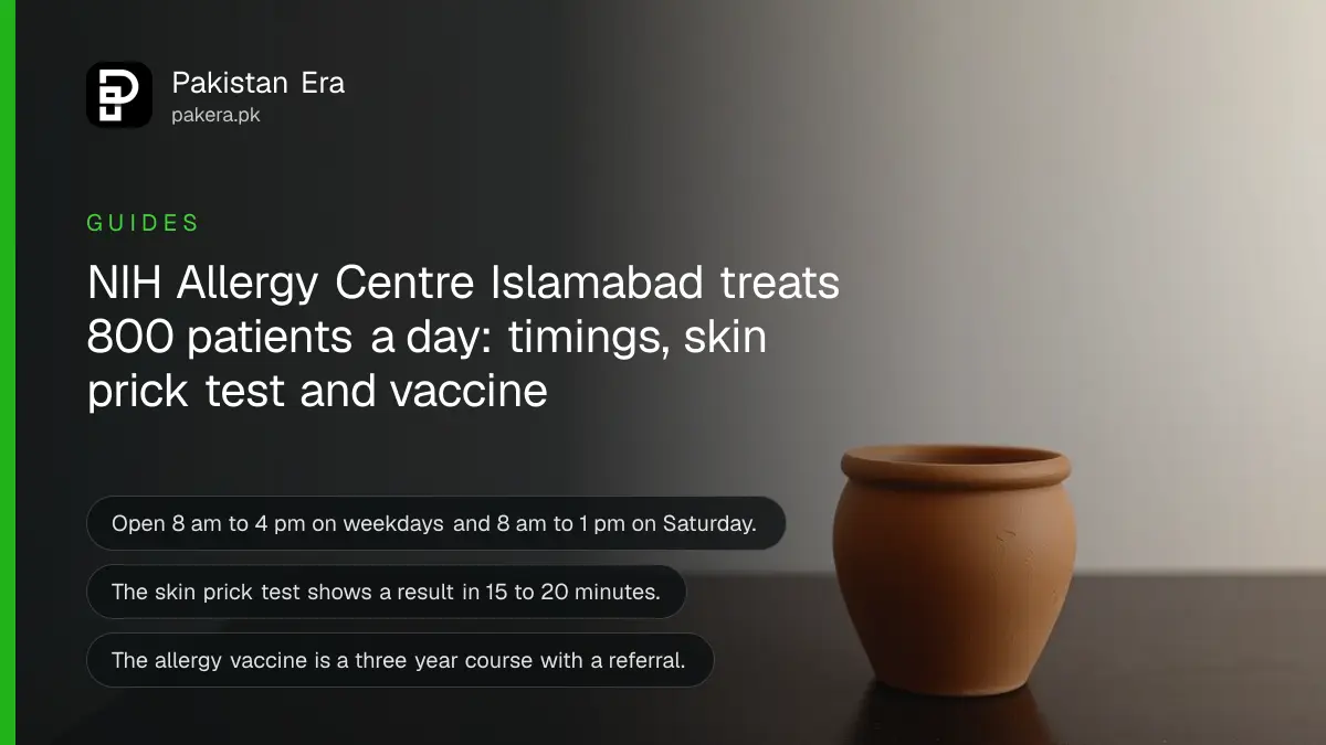 A plain terracotta pot on a dark wooden table against a cream wall, for a guide to the NIH Allergy Centre in Islamabad
