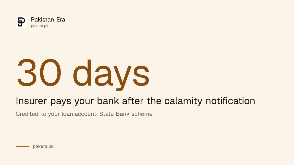 Crop loan insurance claims are paid to the bank within 30 days after a calamity notification