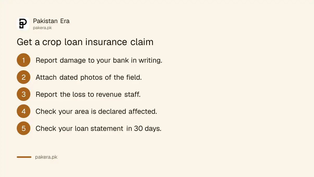 Steps to get a crop loan insurance claim after flood, hail or drought